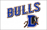 Durham Bulls 2013-Pres Jersey Logo Sticker Heat Transfer