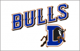 Durham Bulls 2013-Pres Jersey Logo decal sticker