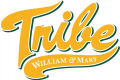 William and Mary Tribe 2016-2017 Alternate Logo Sticker Heat Transfer