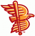 Boise Hawks 2007-Pres Alternate Logo decal sticker