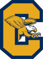 Canisius Golden Griffins 2006-Pres Alternate Logo Sticker Heat Transfer