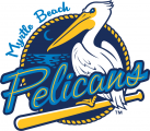 Myrtle Beach Pelicans 2007-Pres Primary Logo decal sticker