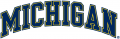 Michigan Wolverines 1996-Pres Wordmark Logo 11 decal sticker