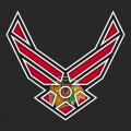 Airforce Chicago Blackhawks logo decal sticker