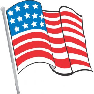 Flag Logo 28