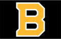 Boston Bruins 2019 20-Pres Jersey Logo Sticker Heat Transfer