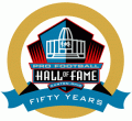 National Football League 2013 Anniversary Logo decal sticker