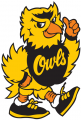 Kennesaw State Owls 1992-2011 Mascot Logo decal sticker