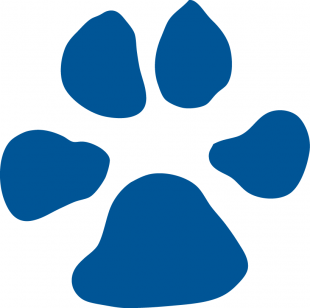 North CarolinaAsheville Bulldogs 1998-Pres Alternate Logo 01 decal sticker