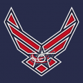 Airforce Columbus Blue Jackets Logo decal sticker
