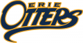 Erie Otters 2016 17-2018 19 Primary Logo decal sticker