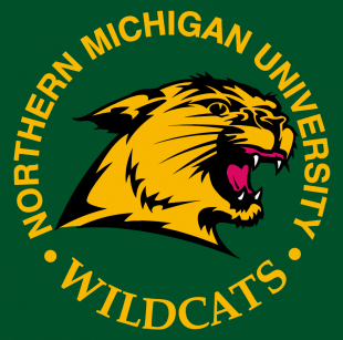 Northern Michigan Wildcats 1993-2015 Alternate Logo 01 decal sticker