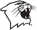Northwestern Wildcats 1981-Pres Partial Logo 02 decal sticker