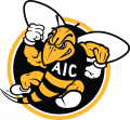 AIC Yellow Jackets 2009-Pres Alternate Logo 02 Sticker Heat Transfer