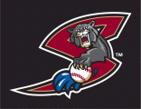 Sacramento River Cats 2000-2006 Cap Logo 4 decal sticker