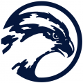 UNF Ospreys 1998 Primary Logo Sticker Heat Transfer