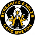 Cape Breton Eagles 2014 15-2018 19 Alternate Logo Sticker Heat Transfer