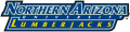 Northern Arizona Lumberjacks 2005-2013 Wordmark Logo 02 Sticker Heat Transfer