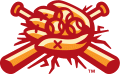 Boise Hawks 2007-Pres Alternate Logo 2 decal sticker