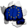 Fist European Union Flag Logo decal sticker
