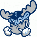 Wilmington Blue Rocks 2010-Pres Alternate Logo 4 Sticker Heat Transfer