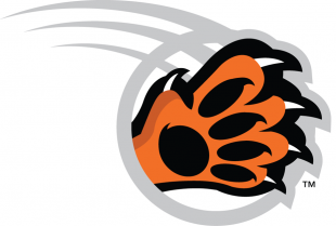 RIT Tigers 2004-Pres Alternate Logo 01 decal sticker