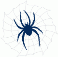Richmond Spiders 2002-Pres Alternate Logo 05 decal sticker