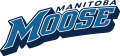 Manitoba Moose 2015 16-Pres Wordmark Logo decal sticker