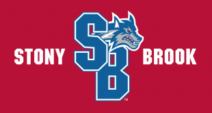 Stony Brook Seawolves 2008-Pres Alternate Logo 03 decal sticker