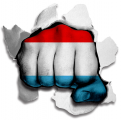 Fist Luxembourg Flag Logo decal sticker
