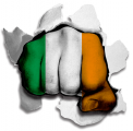 Fist Ireland Flag Logo decal sticker