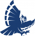 Rice Owls 1997-2009 Secondary Logo 01 Sticker Heat Transfer