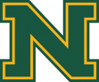 Northern Michigan Wildcats 2016-Pres Alternate Logo 01 Sticker Heat Transfer