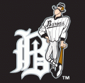 Birmingham Barons 2001-2007 Cap Logo decal sticker