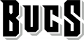 Tampa Bay Buccaneers 2014-Pres Wordmark Logo 05 decal sticker