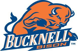 Bucknell Bison 2002-Pres Primary Logo Sticker Heat Transfer