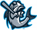 Tampa Tarpons 2018-Pres Alternate Logo decal sticker