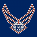 Airforce Edmonton Oilers Logo decal sticker