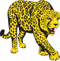 South Alabama Jaguars 1993-2007 Partial Logo Sticker Heat Transfer