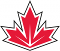World Cup of Hockey 2016-2017 Team 06 Logo Sticker Heat Transfer