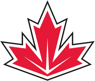 World Cup of Hockey 2016-2017 Team 06 Logo decal sticker