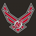 Airforce New Jersey Devils Logo Sticker Heat Transfer