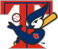 Toronto Blue Jays 2001-2002 Alternate Logo Sticker Heat Transfer