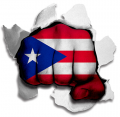 Fist Puerto Rico Flag Logo decal sticker