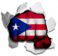 Fist Puerto Rico Flag Logo Sticker Heat Transfer