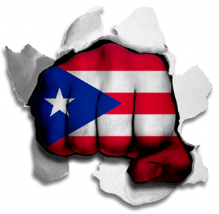 Fist Puerto Rico Flag Logo Sticker Heat Transfer