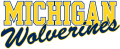 Michigan Wolverines 1996-Pres Wordmark Logo 07 decal sticker