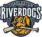 Charleston Riverdogs 2016-Pres Primary Logo Sticker Heat Transfer