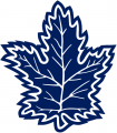 Toronto Maple Leafs 1992 93-1999 00 Alternate Logo Sticker Heat Transfer