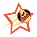 Baltimore Orioles Baseball Goal Star logo Sticker Heat Transfer